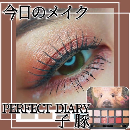 エクスプローラ12色 動物アイシャドウパレット/PERFECT DIARY/アイシャドウパレットを使ったクチコミ(1枚目)