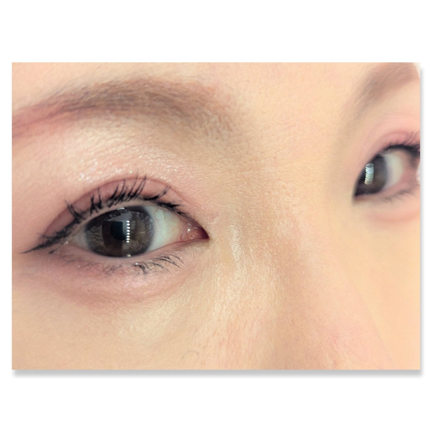 パーフェクトマルチアイズ/キャンメイク/アイシャドウパレットを使ったクチコミ(2枚目)