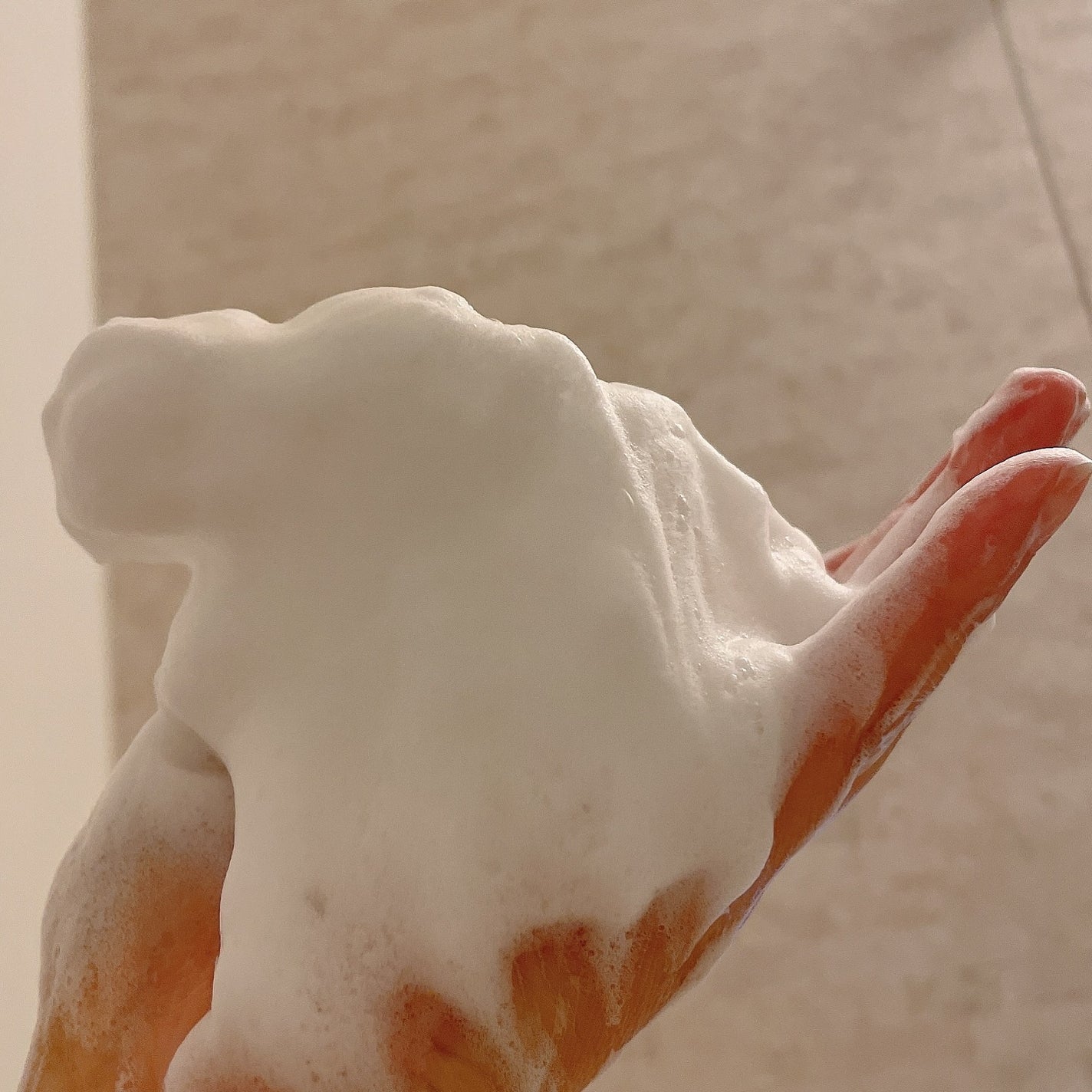 スキンコンディショニング洗顔/ファンケル/洗顔フォームを使ったクチコミ(5枚目)