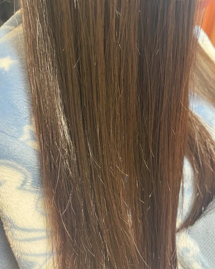 レモン on LIPS 「DianeLotus水素トリートメントを使いました。一袋4包入..」(4枚目)