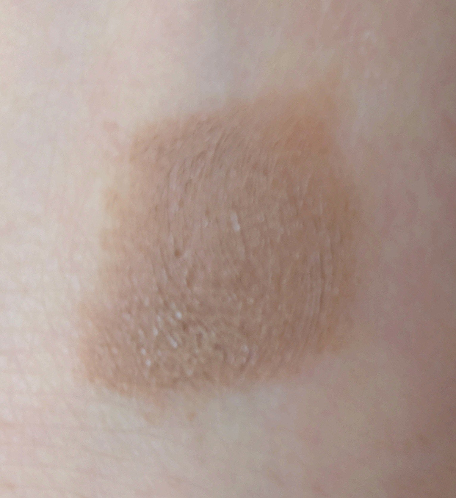 ハンオールブロウカラ/rom&nd/眉マスカラを使ったクチコミ（3枚目）