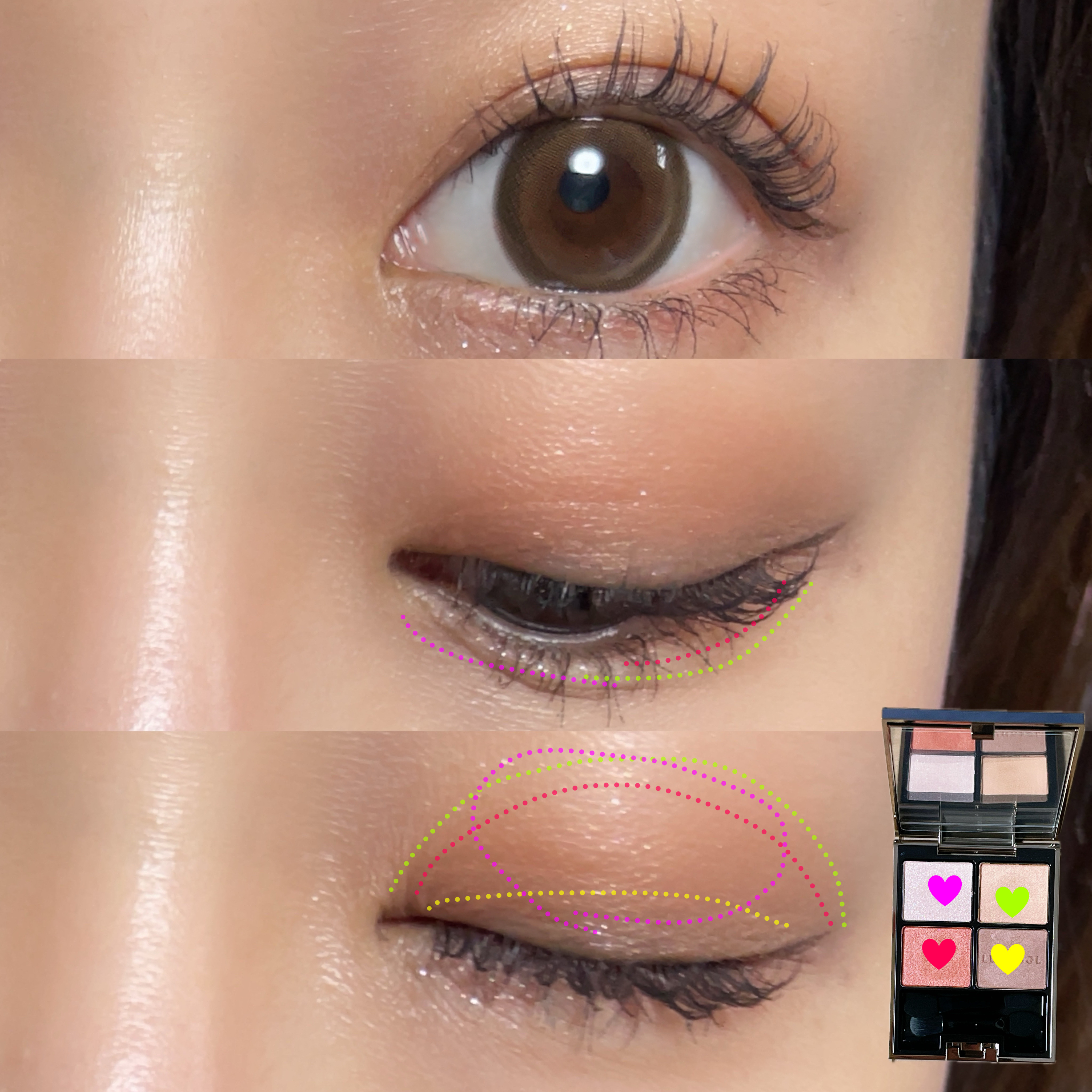 アイカラーレーション/LUNASOL/アイシャドウパレットを使ったクチコミ（2枚目）