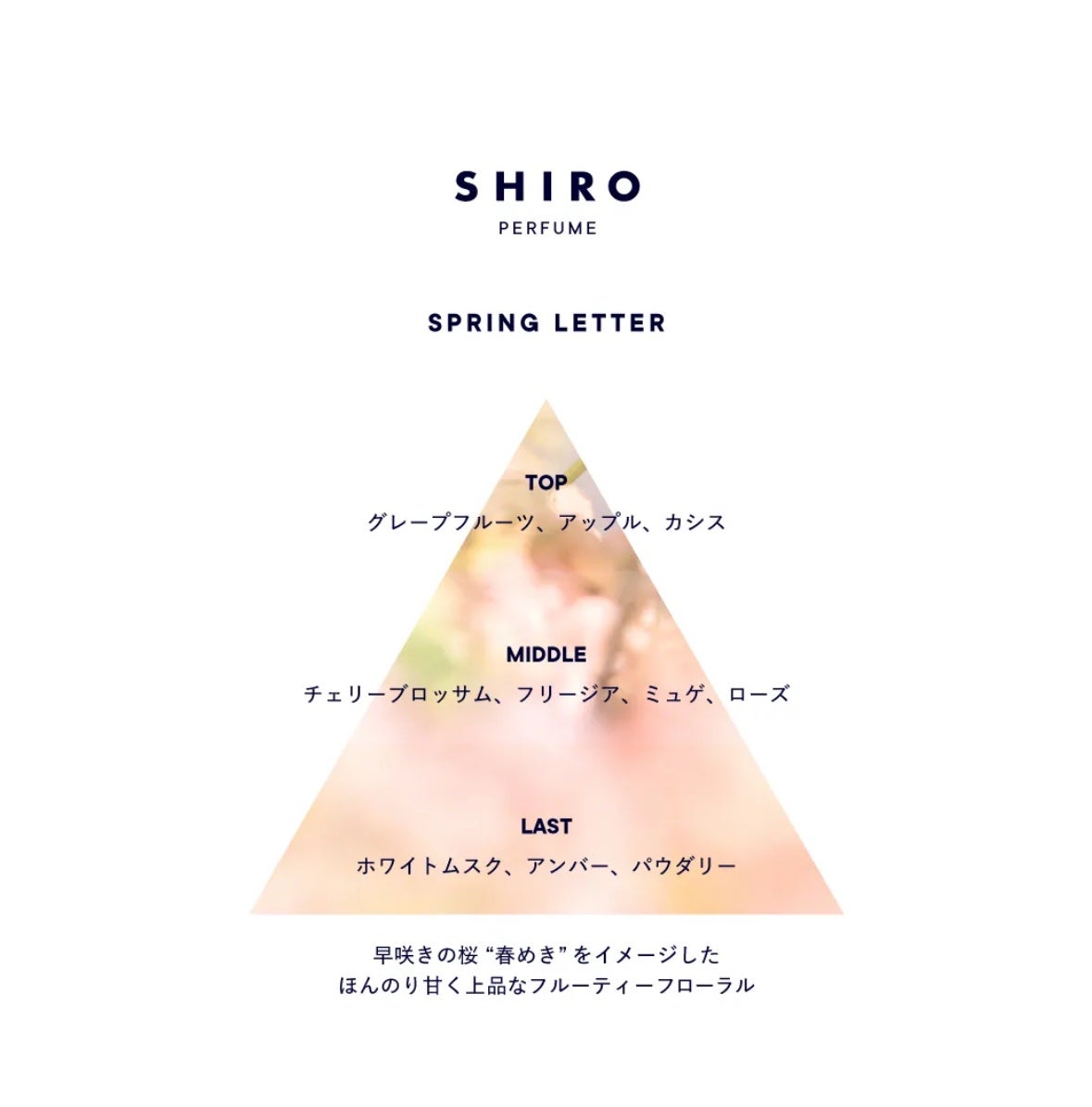 SPRING LETTER オードパルファン/SHIRO/香水(レディース)を使ったクチコミ(2枚目)