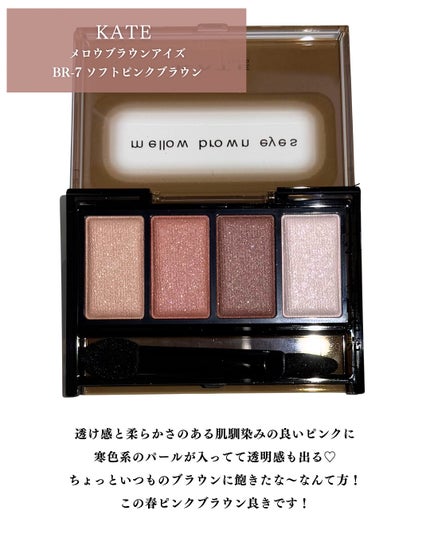 ケイト メロウブラウンアイズ/KATE/アイシャドウパレットを使ったクチコミ(2枚目)