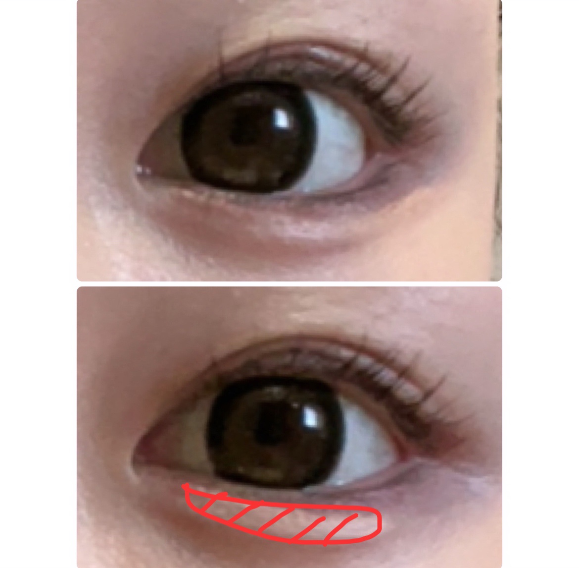 チャコット・コスメティクス クレヨンコンシーラーのクチコミ「涙袋爆誕させたい人これ使ってほしい🥺
バズってたから持ってる人もたくさんいると思いますが紹介さ.....」（2枚目）