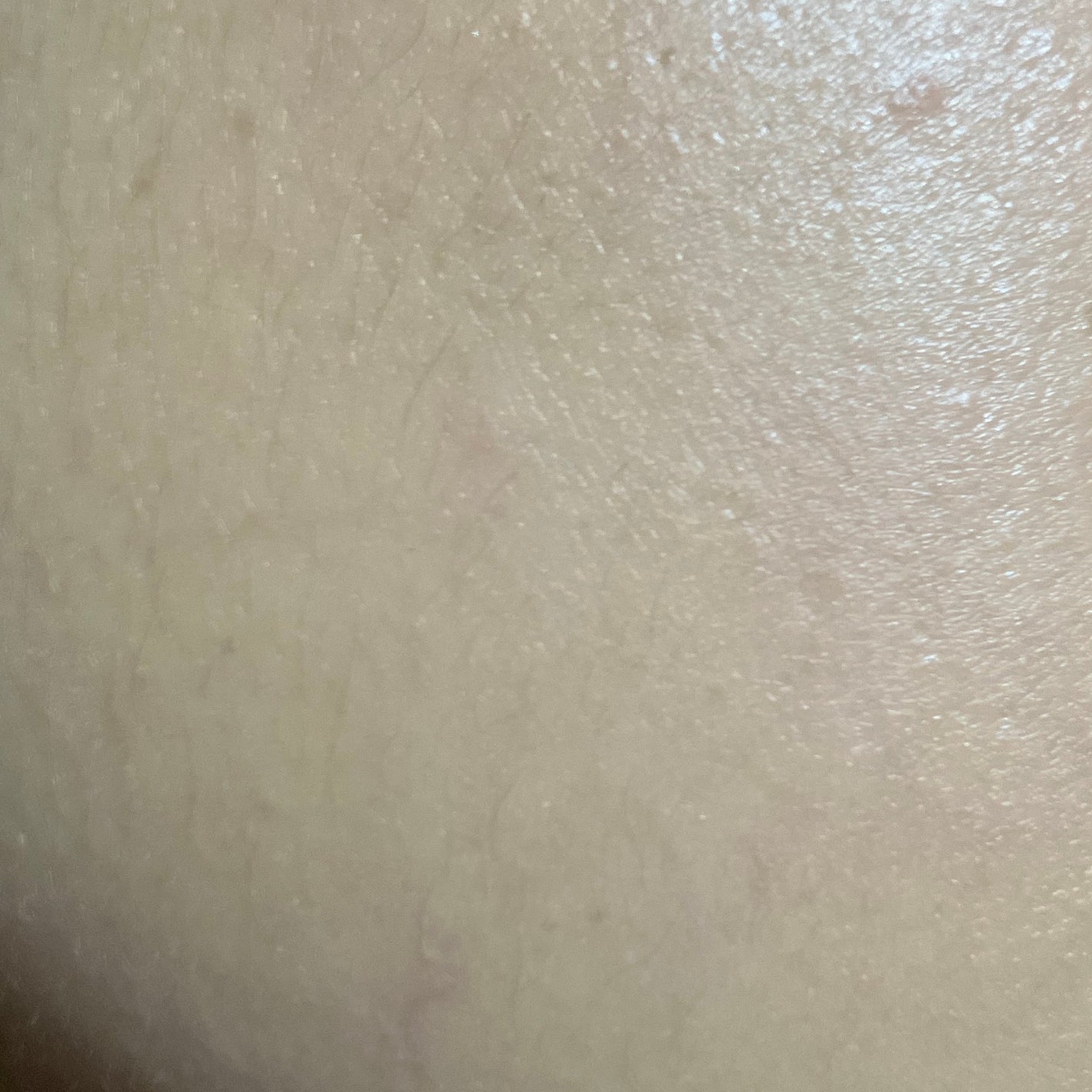 ヴィーガニッシュ EGT セラムローション/SAIRAI/化粧水を使ったクチコミ(6枚目)