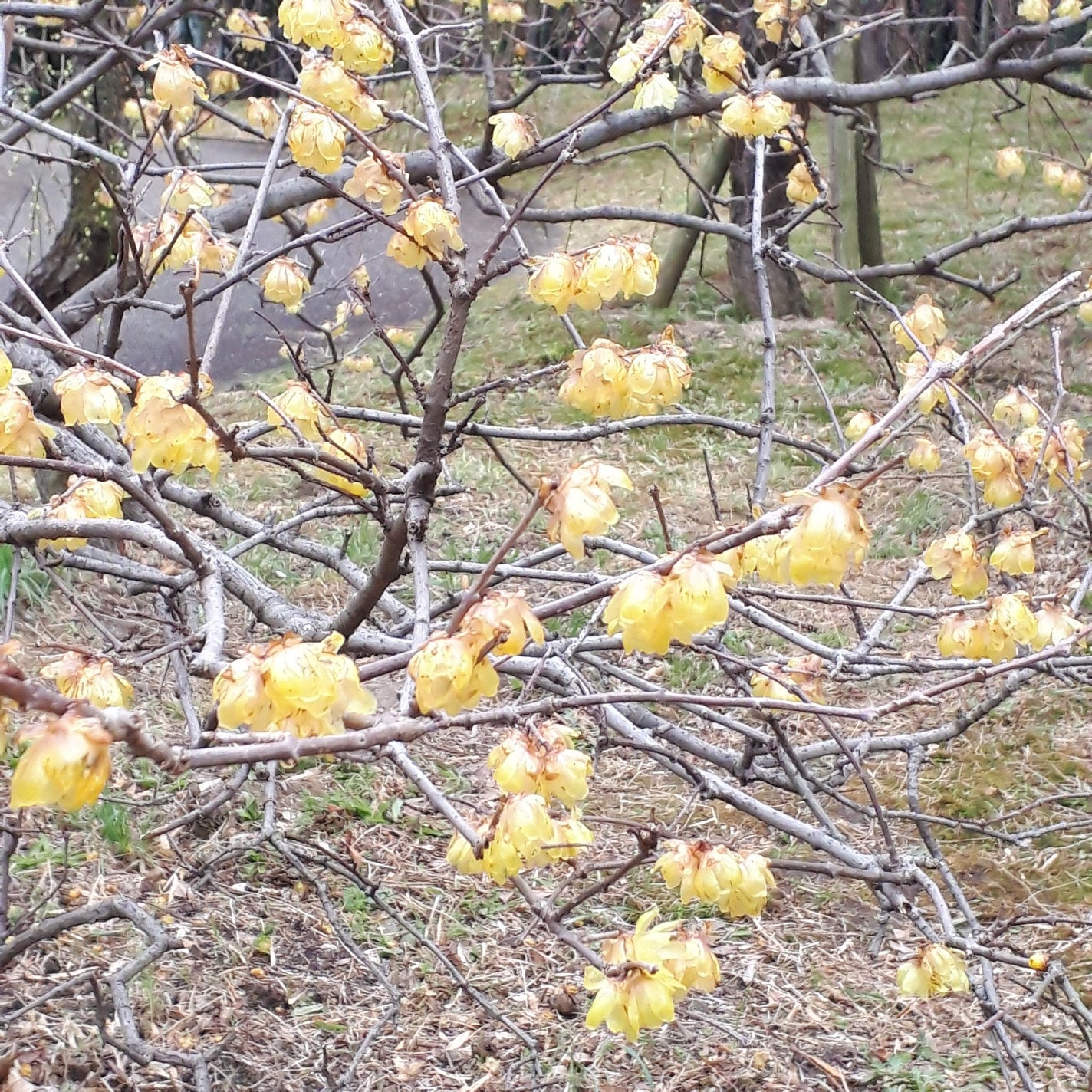 アイプランナー/excel/単色アイシャドウを使ったクチコミ(8枚目)