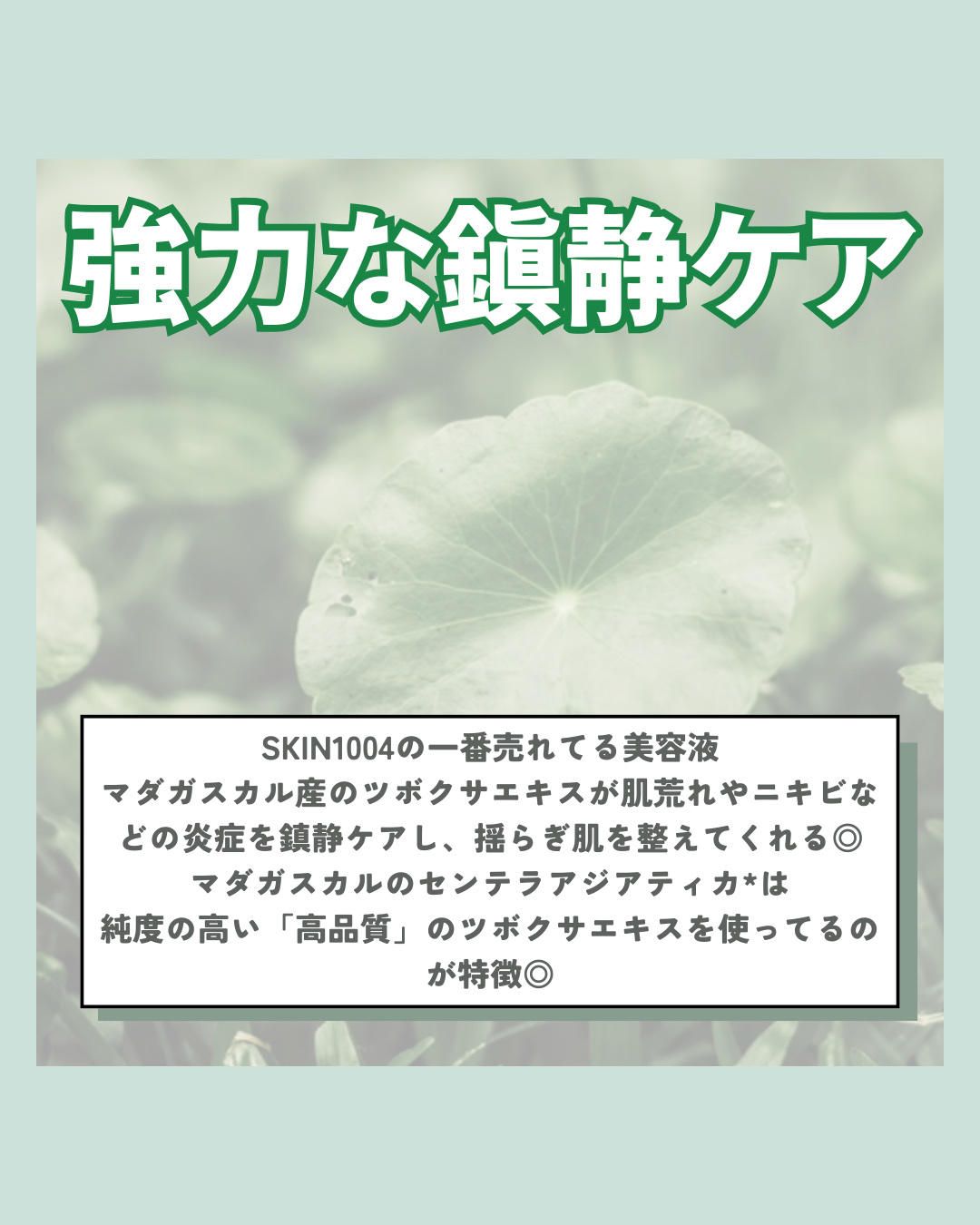 センテラ アンプル/SKIN1004/美容液を使ったクチコミ（3枚目）