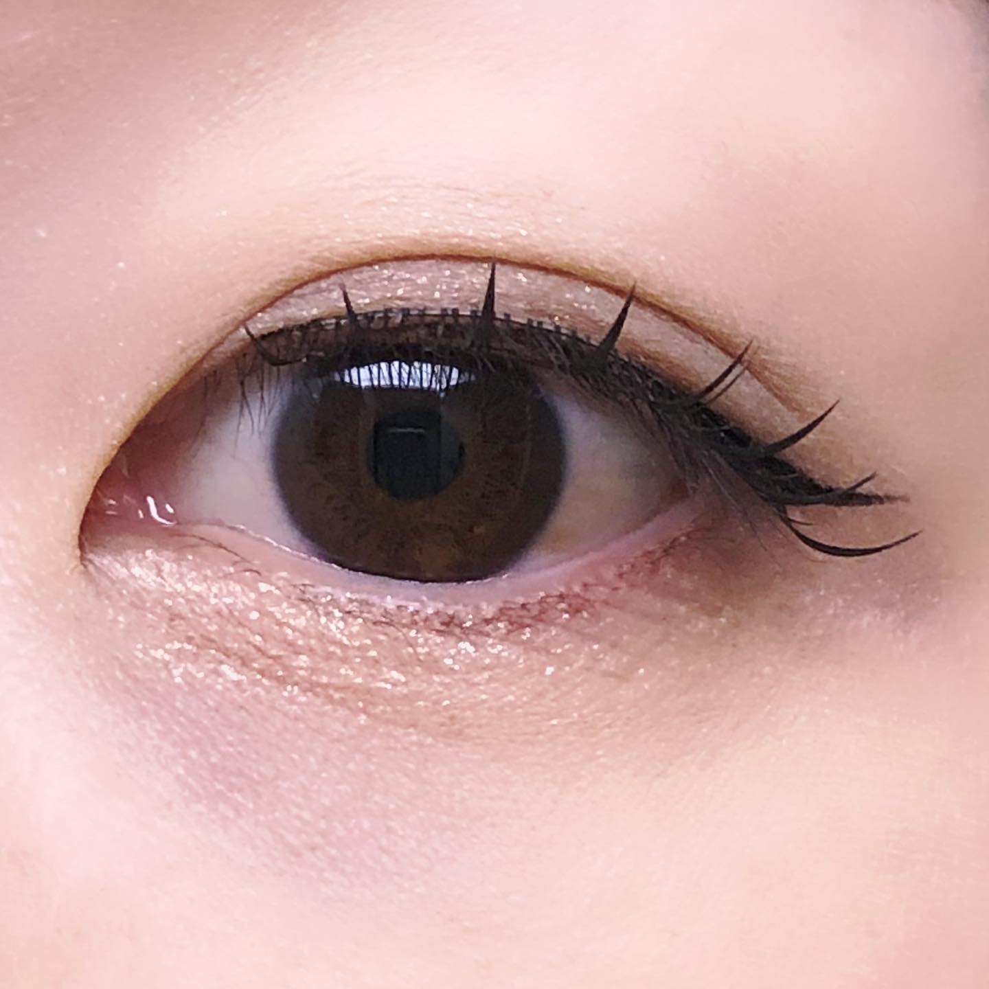 ラッシュフォーカス 04 /D-UP/つけまつげを使ったクチコミ（3枚目）