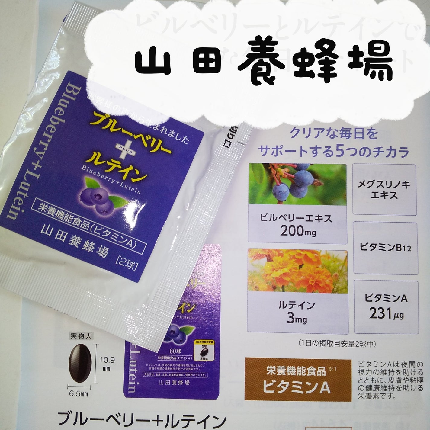 ブルーベリー+ルテイン/山田養蜂場(健康食品)/健康サプリメントを使ったクチコミ(1枚目)