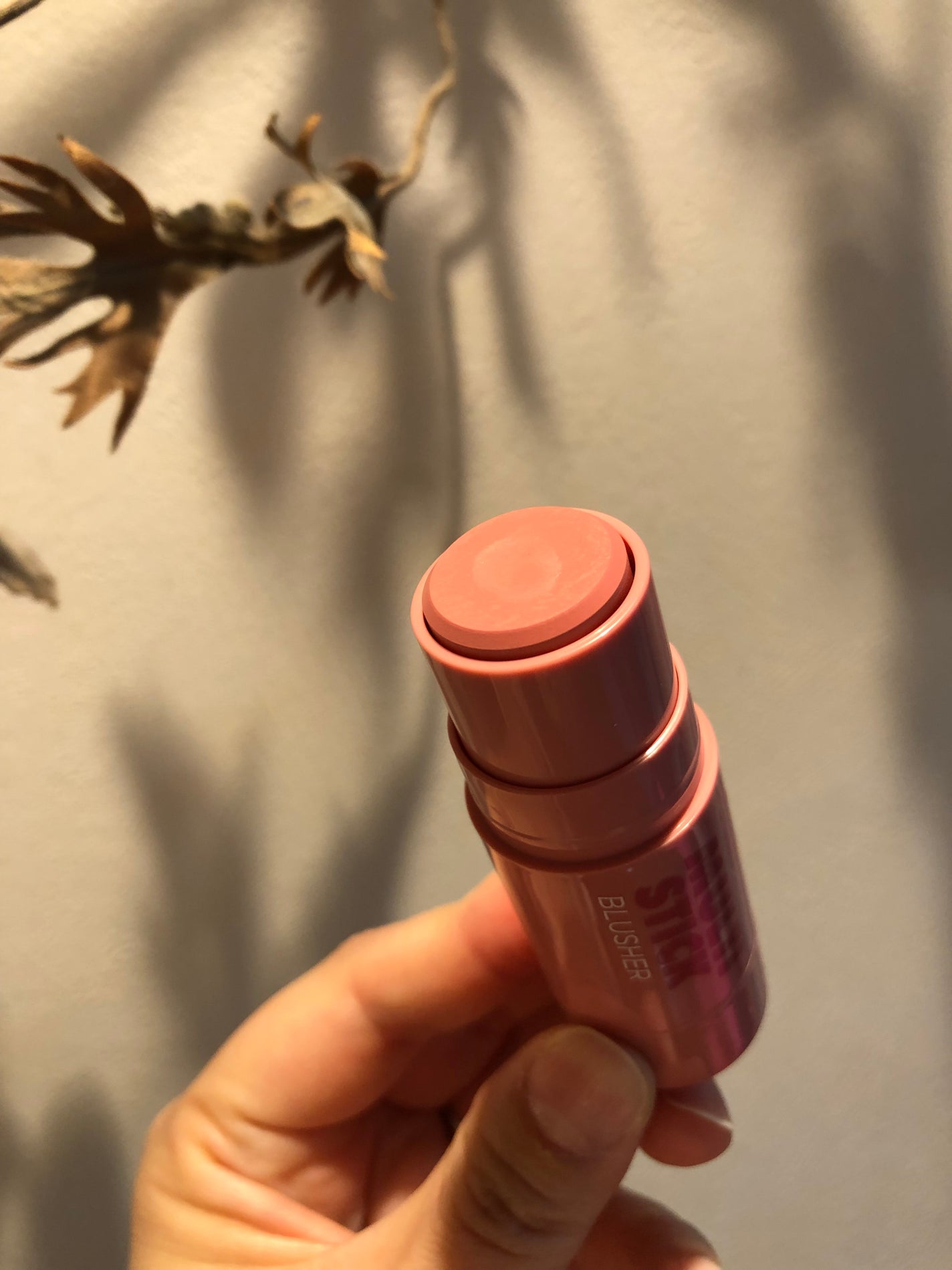 アイムマルチスティックブラッシャー/i’m meme/ジェル・クリームチークを使ったクチコミ(3枚目)