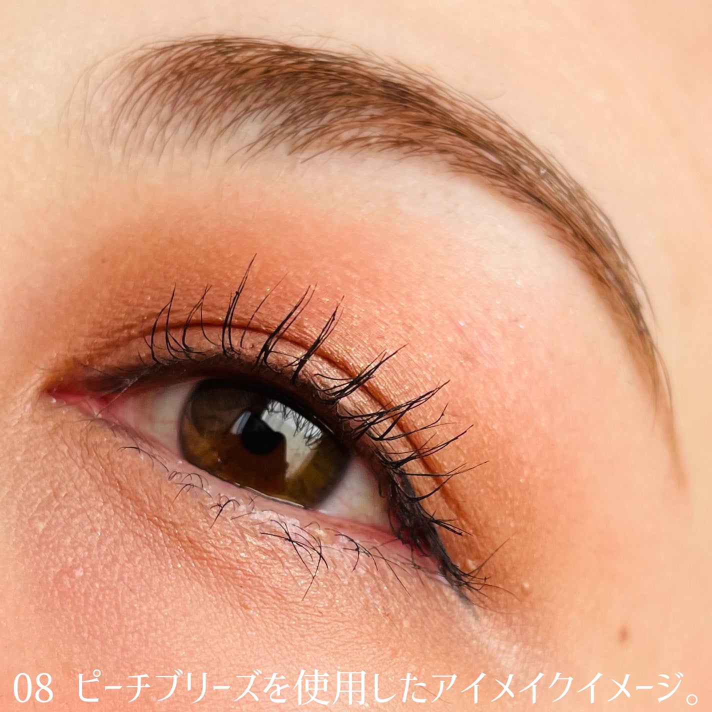 リターントゥーベーシックシャドウパレット/ABOUT TONE/アイシャドウパレットを使ったクチコミ(6枚目)