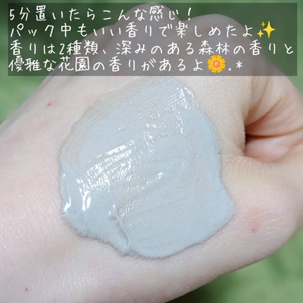 バーニッシュクレイパック 花園/PICALAY/洗い流すパック・マスクを使ったクチコミ(4枚目)