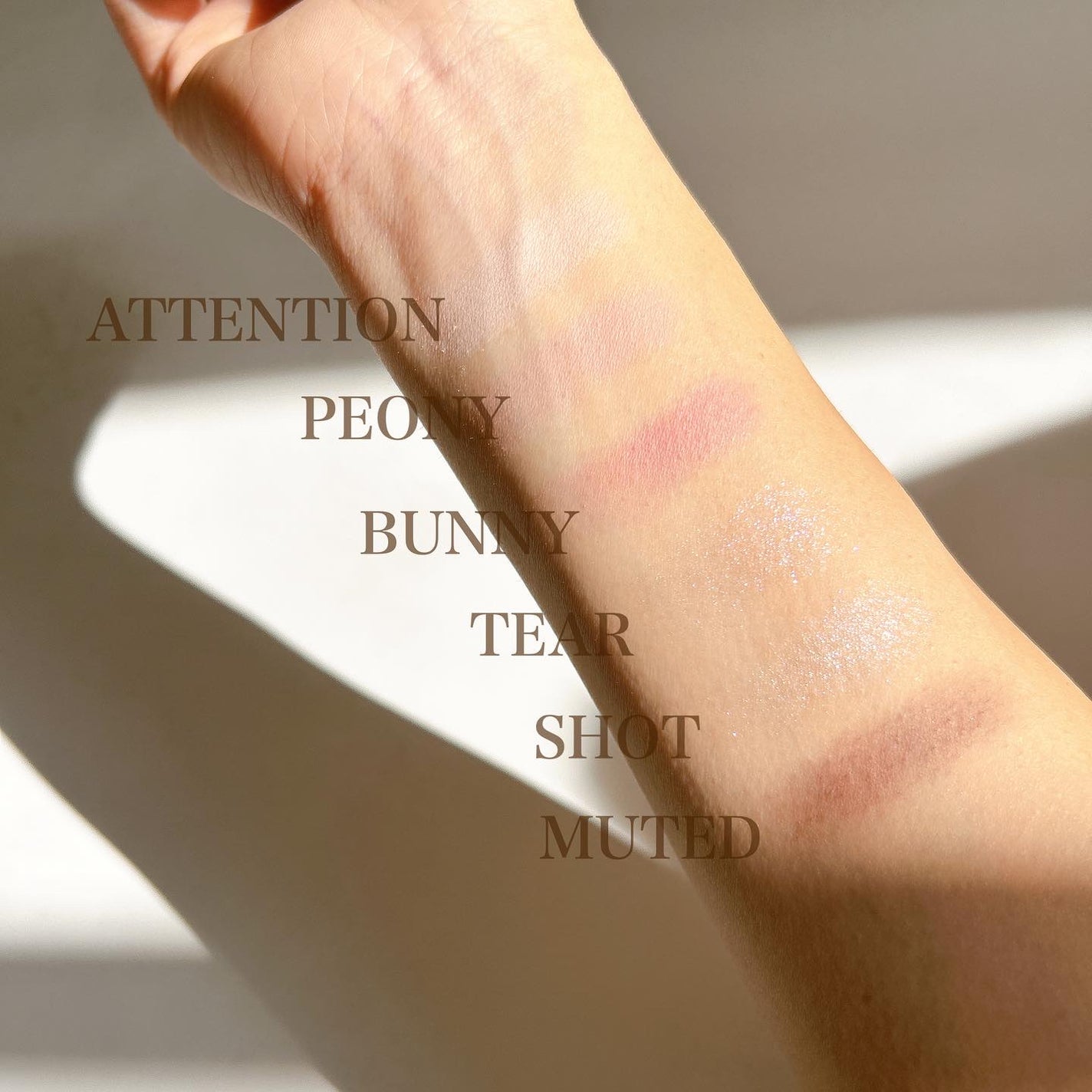 リターントゥーベーシックシャドウパレット/ABOUT TONE/アイシャドウパレットを使ったクチコミ(5枚目)