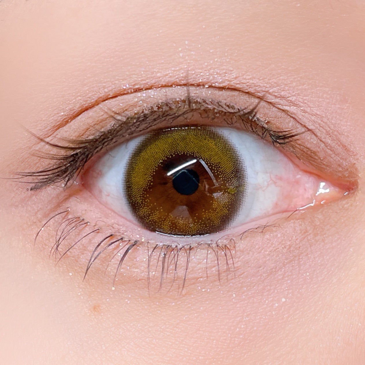 KM デイリートーンアイシャドウパレット/Kyumme/アイシャドウパレットを使ったクチコミ(6枚目)