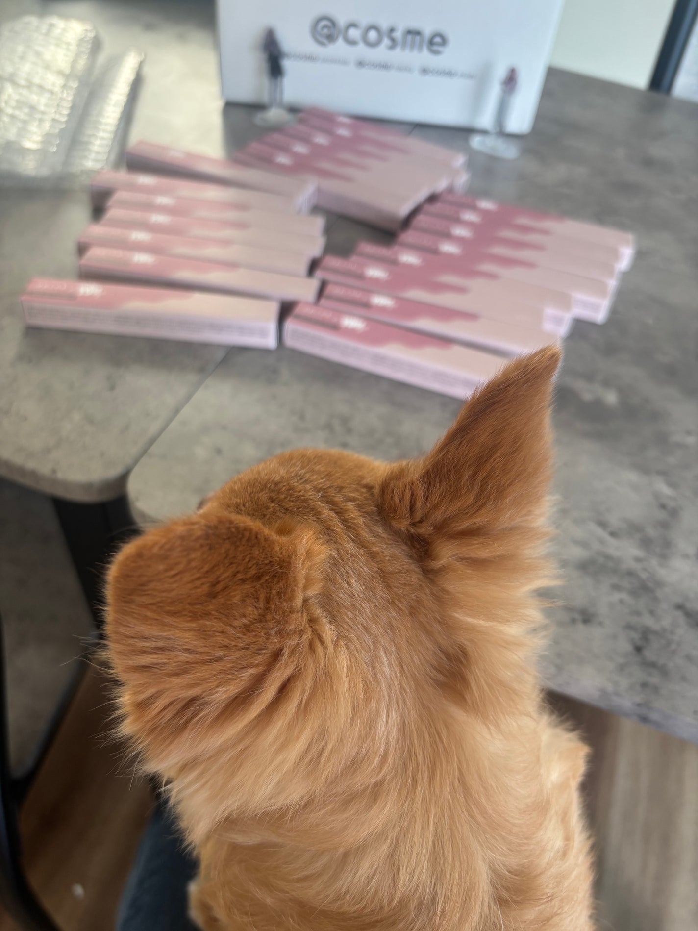 upink × make YOU up 3way メランジュールリップ/upink/口紅を使ったクチコミ(6枚目)