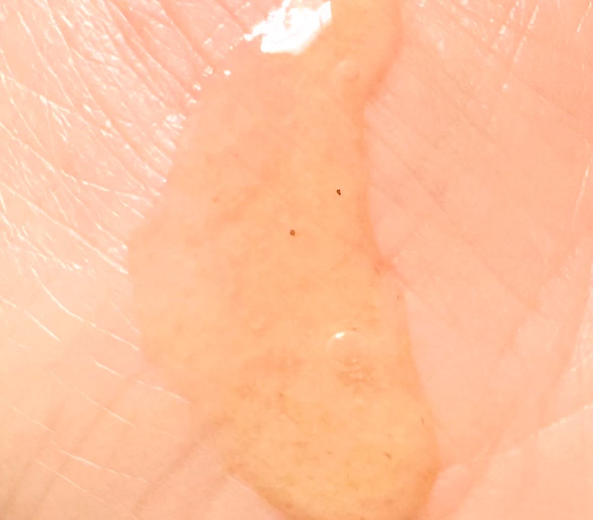 毛穴撫子 重曹洗えるスクラブ/毛穴撫子/ボディスクラブを使ったクチコミ（3枚目）