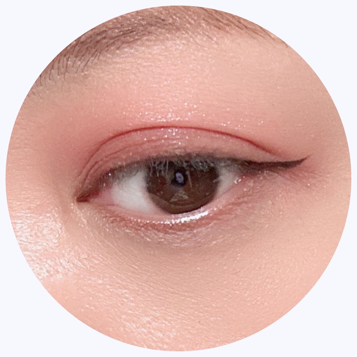 ラズル アイカラー/エレガンス ラズル /単色アイシャドウを使ったクチコミ(4枚目)