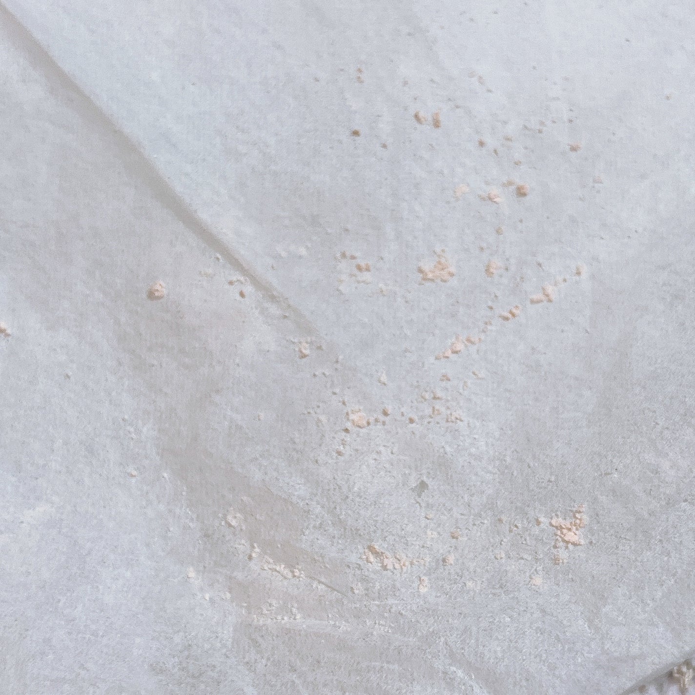 毛穴パテ職人 毛穴崩れブロックパウダー/毛穴パテ職人/ルースパウダーを使ったクチコミ(6枚目)