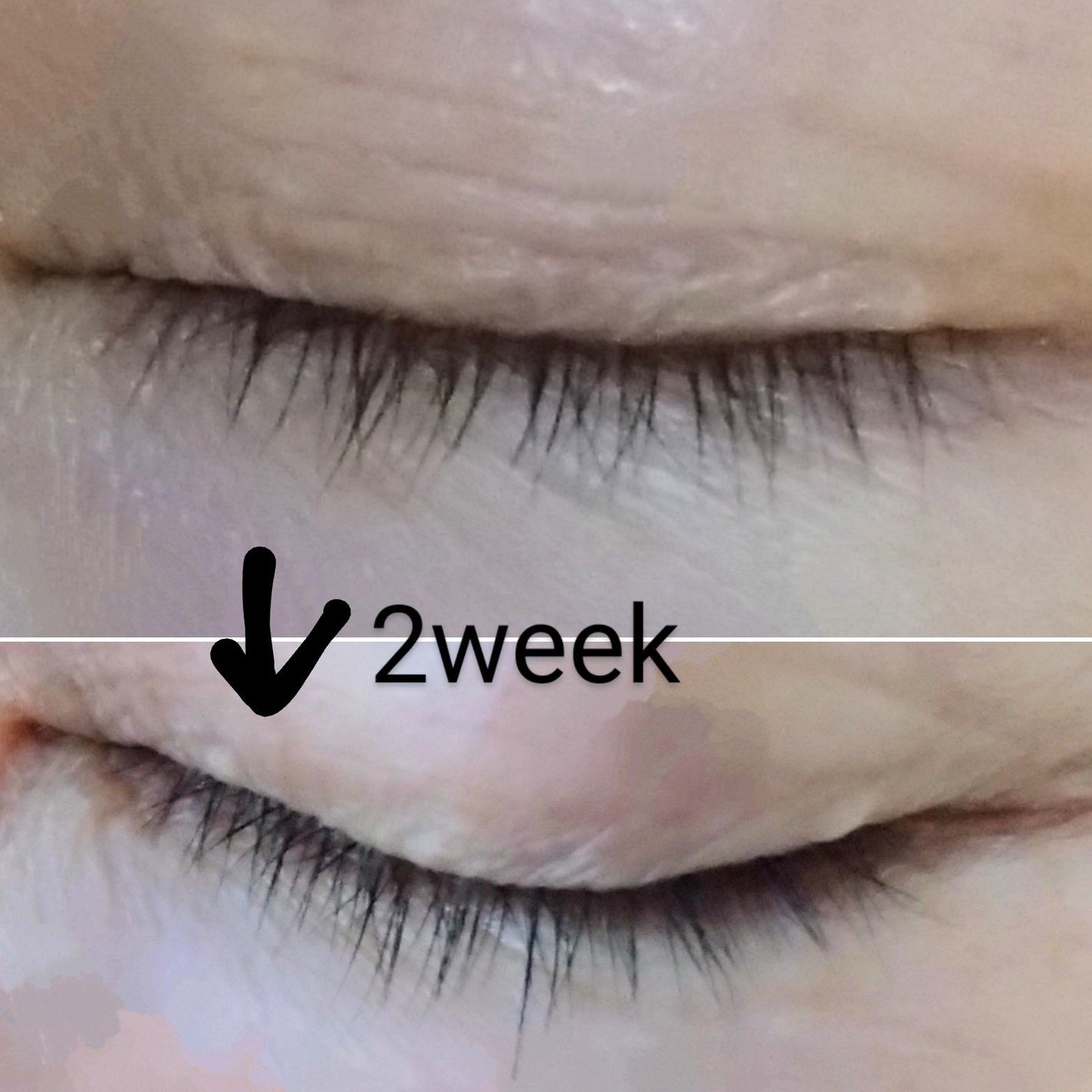 リアルミービオテノールラッシュアップアンプル/ベリサム/まつげ美容液を使ったクチコミ(5枚目)