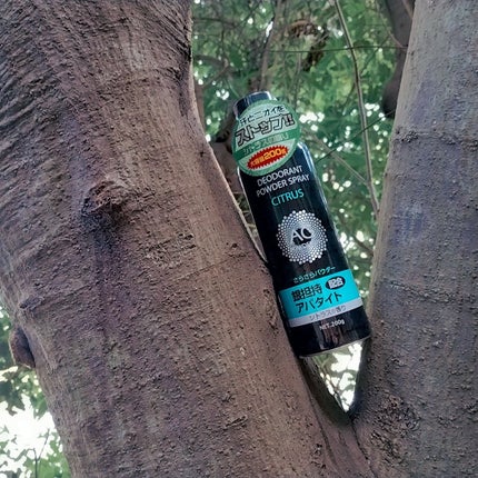 を使ったクチコミ(1枚目)