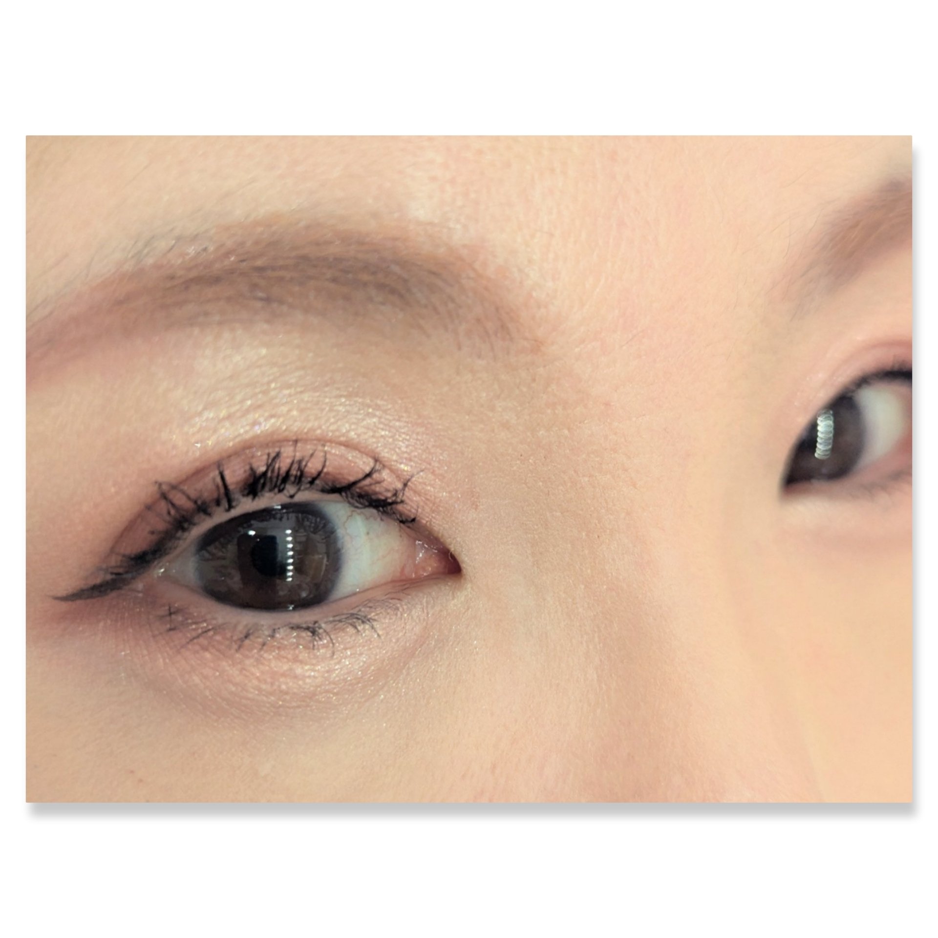  グラム アイ シャドウ/U/CHOO/アイシャドウパレットを使ったクチコミ（2枚目）