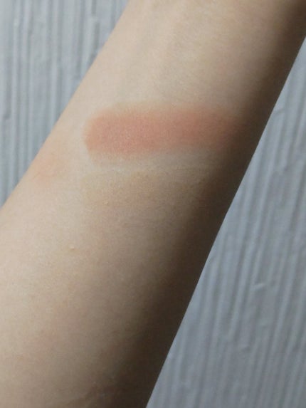 リシェ レッドトリック アイコンシーラー/Visée/パレットコンシーラーを使ったクチコミ(4枚目)