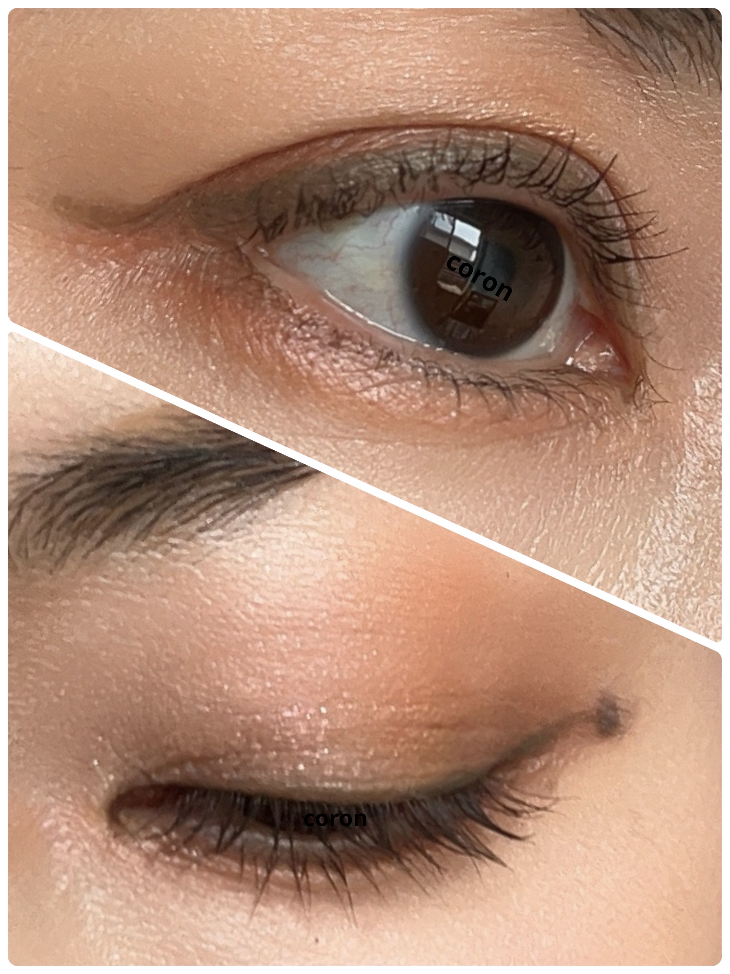 パーフェクトエクステンション マスカラ/D-UP/マスカラを使ったクチコミ（2枚目）