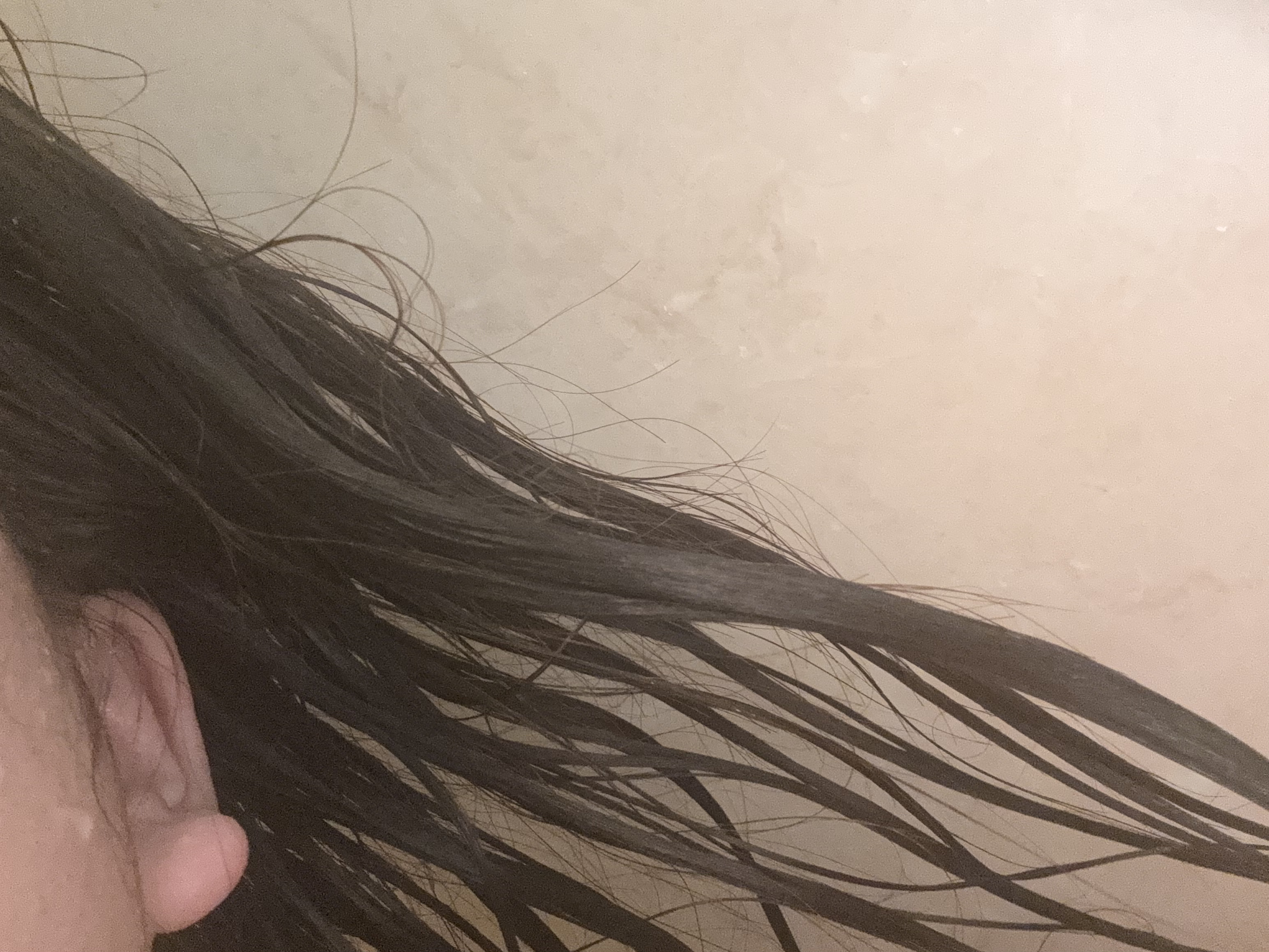 リフレッシュ × さらつや シャンプー/トリートメント/h&s/市販シャンプーを使ったクチコミ（2枚目）