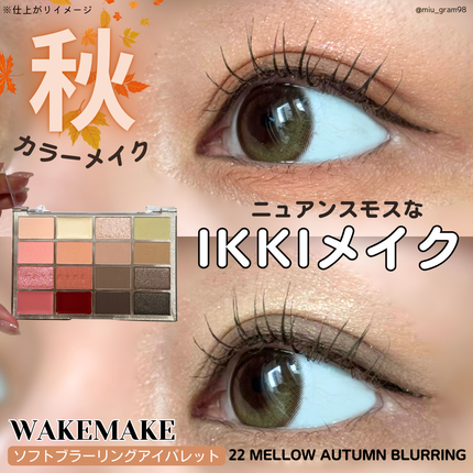 ソフトブラーリングアイパレット/wakemake/アイシャドウパレットを使ったクチコミ(1枚目)