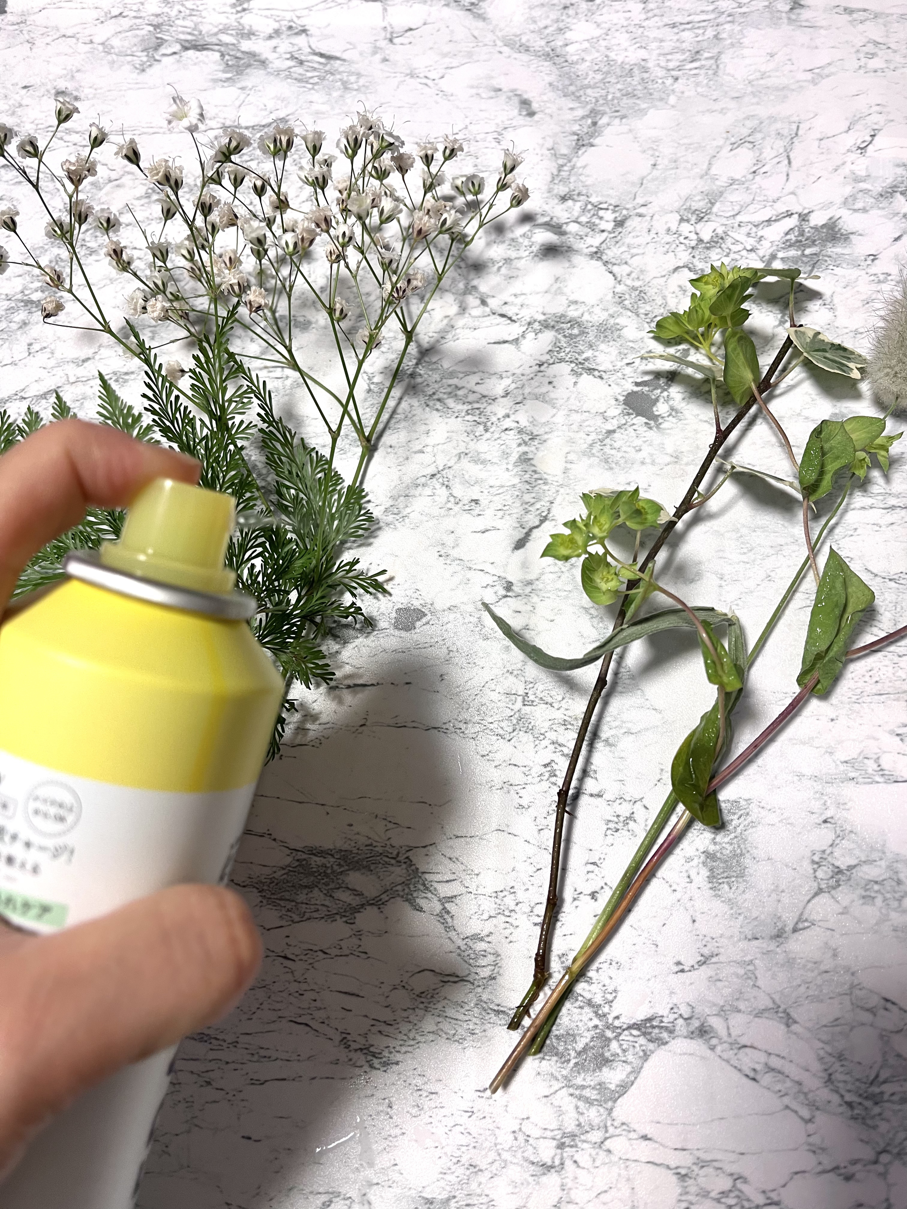 タイガレイド ウォーターミスト Ⅴ/タイガレイド/ミスト状化粧水を使ったクチコミ（3枚目）