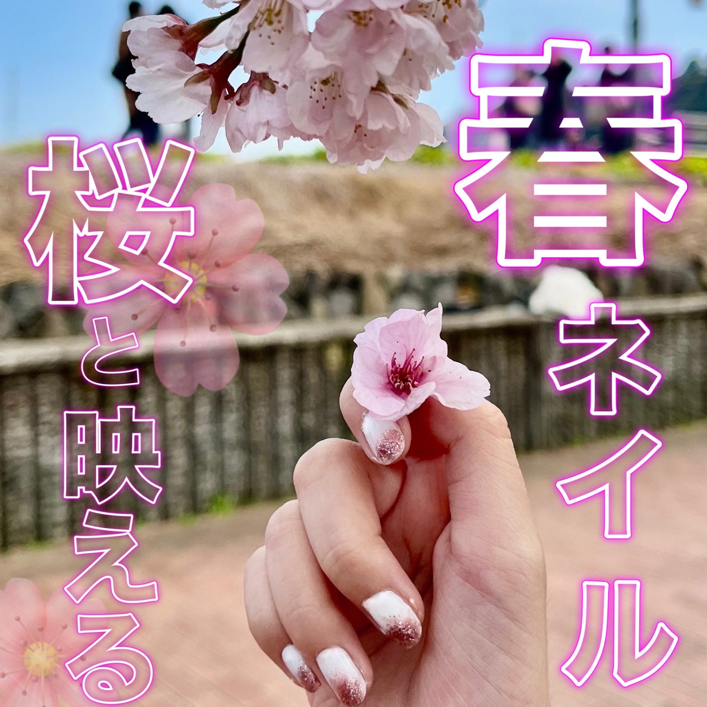 カラフルネイルズ/キャンメイク/マニキュアを使ったクチコミ(1枚目)