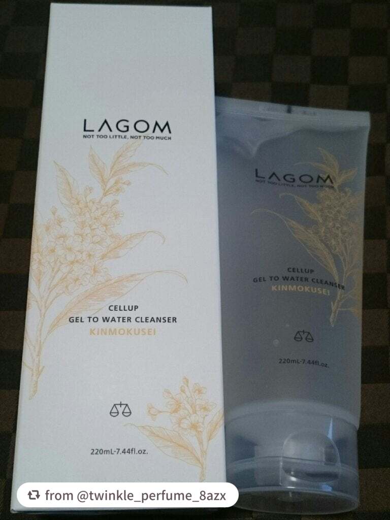 ジェルトゥウォーター クレンザー(KI)(朝洗顔料)/LAGOM /その他洗顔料を使ったクチコミ(1枚目)