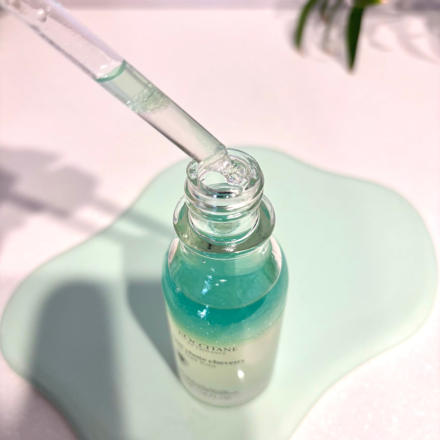 薬用 メディカル アンチヘアロスセラム/L'OCCITANE/頭皮ローションを使ったクチコミ(3枚目)