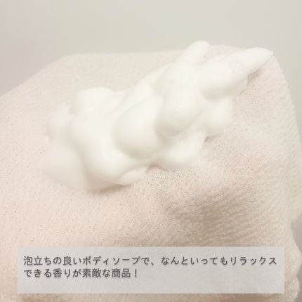 クナイプ 泡ボディウォッシュ グーテナハト ホップ&バレリアンの香り ボトル 450g/クナイプ/ボディソープを使ったクチコミ(2枚目)