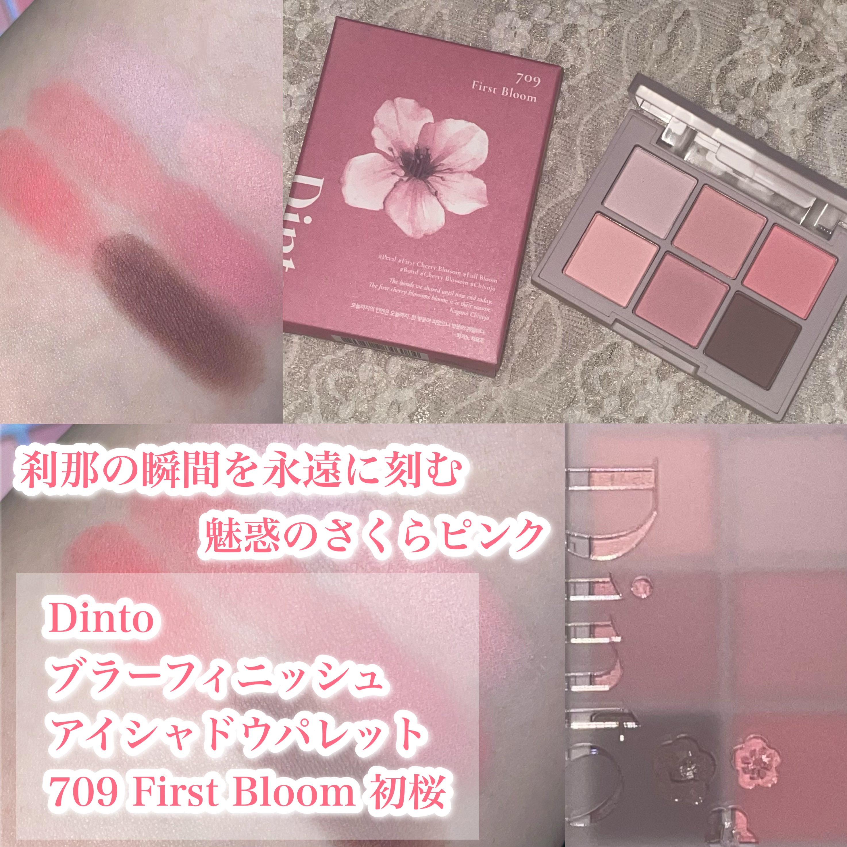 ブラーフィニシュシャドウパレット/Dinto/アイシャドウパレットを使ったクチコミ（1枚目）