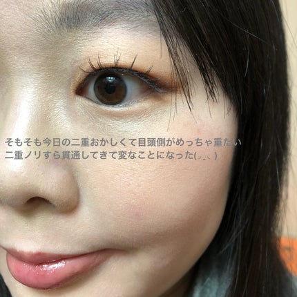 ビタートーンアイシャドウ/CEZANNE/パウダーアイシャドウを使ったクチコミ(2枚目)