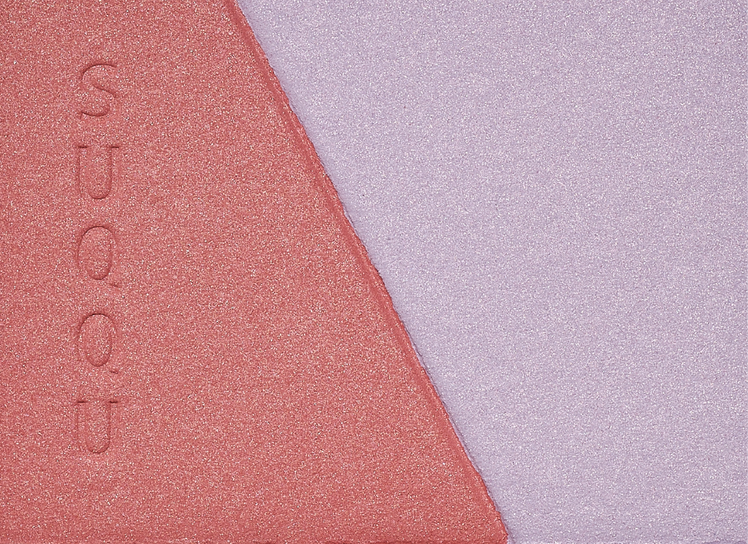 ブラーリング カラー ブラッシュ 111 比彩 -HIIRO（限定色）