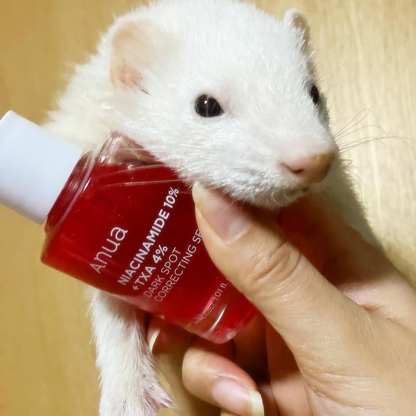 ダークスポットセラム/Anua/美容液を使ったクチコミ(1枚目)