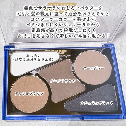 アーティストライン ヘアコンシーラーパレット/odiD/その他スタイリングを使ったクチコミ(4枚目)