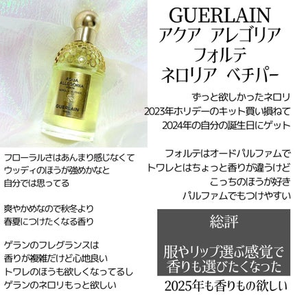 アイティント #10S Chesnut/ジョルジオ アルマーニ ビューティ/リキッドアイシャドウの画像