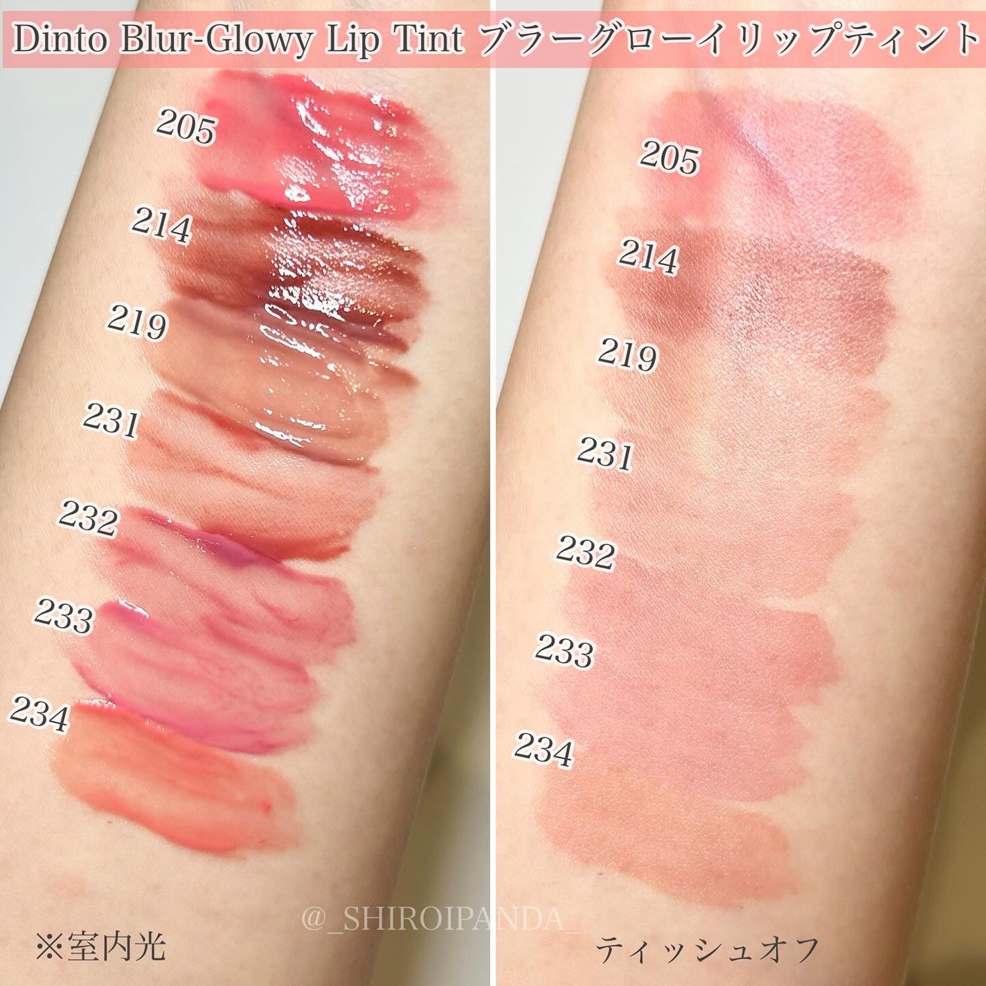 ブラーグロイリップティント/Dinto/リップティントを使ったクチコミ(5枚目)