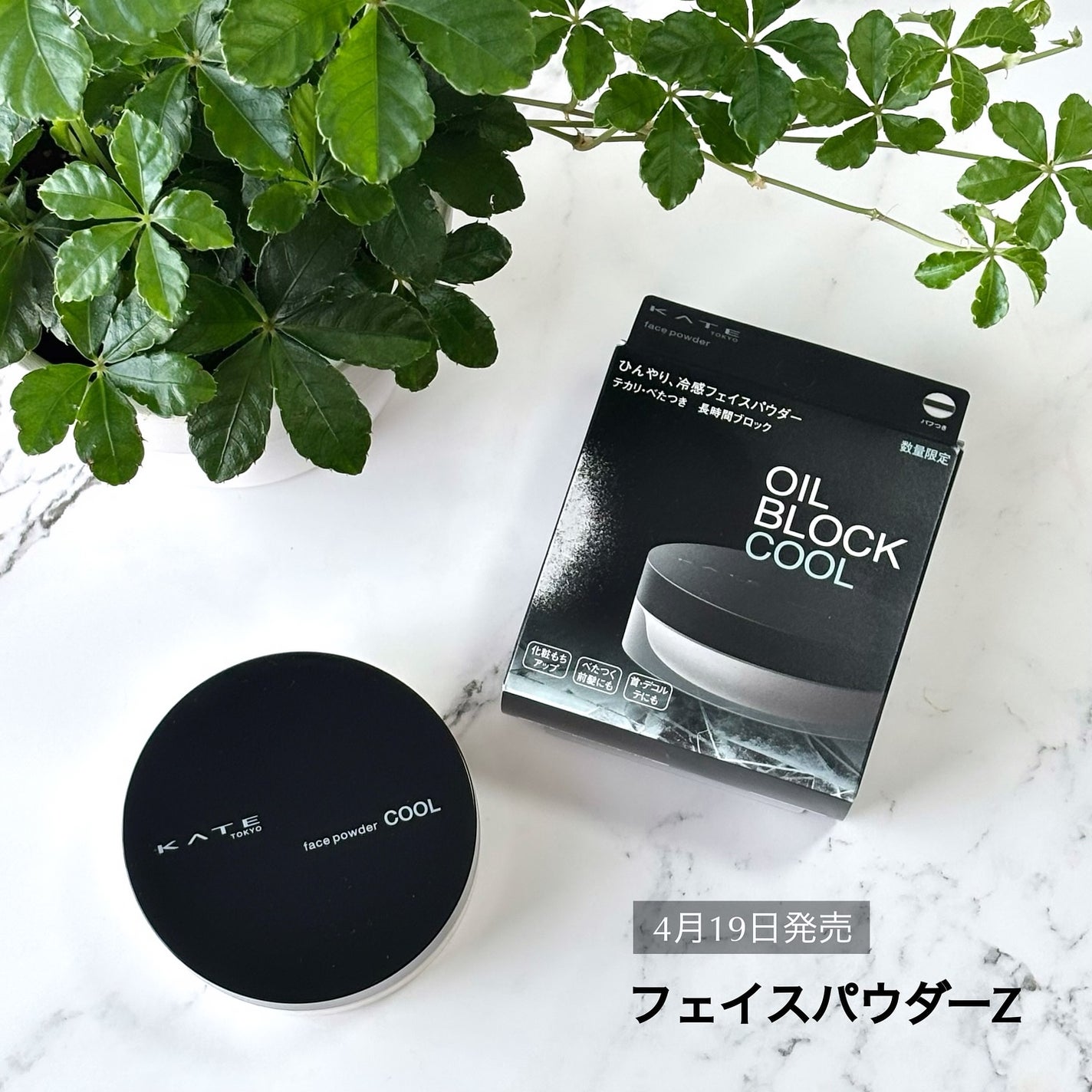 ケイト フェイスパウダーZ(オイルブロック)/KATE/ルースパウダーを使ったクチコミ(9枚目)