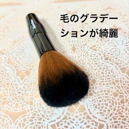 ファイバーブラシL/ロージーローザ/メイクブラシを使ったクチコミ(2枚目)