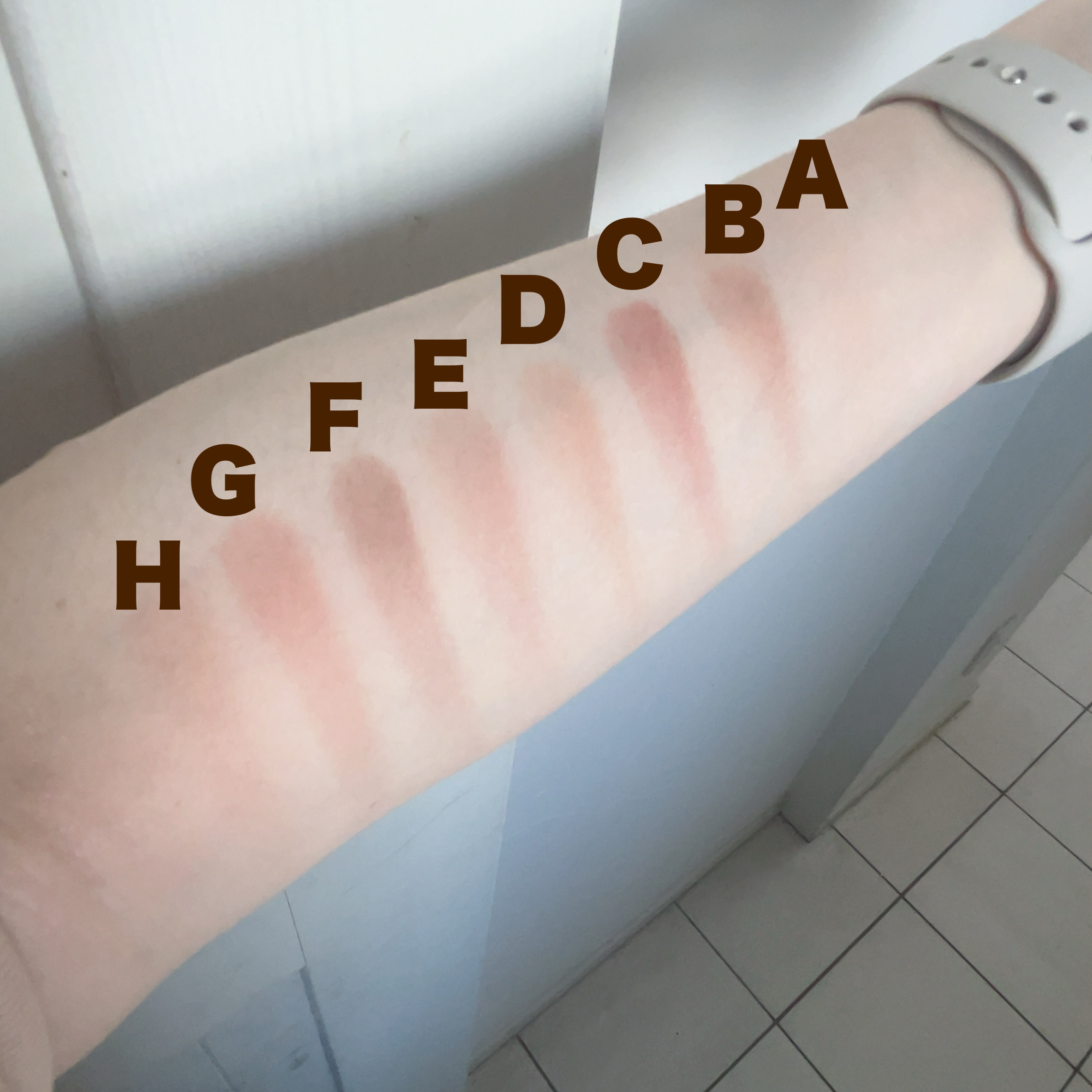 プティパレットアイズ（マットタイプ）/キャンメイク/パウダーアイシャドウを使ったクチコミ（3枚目）