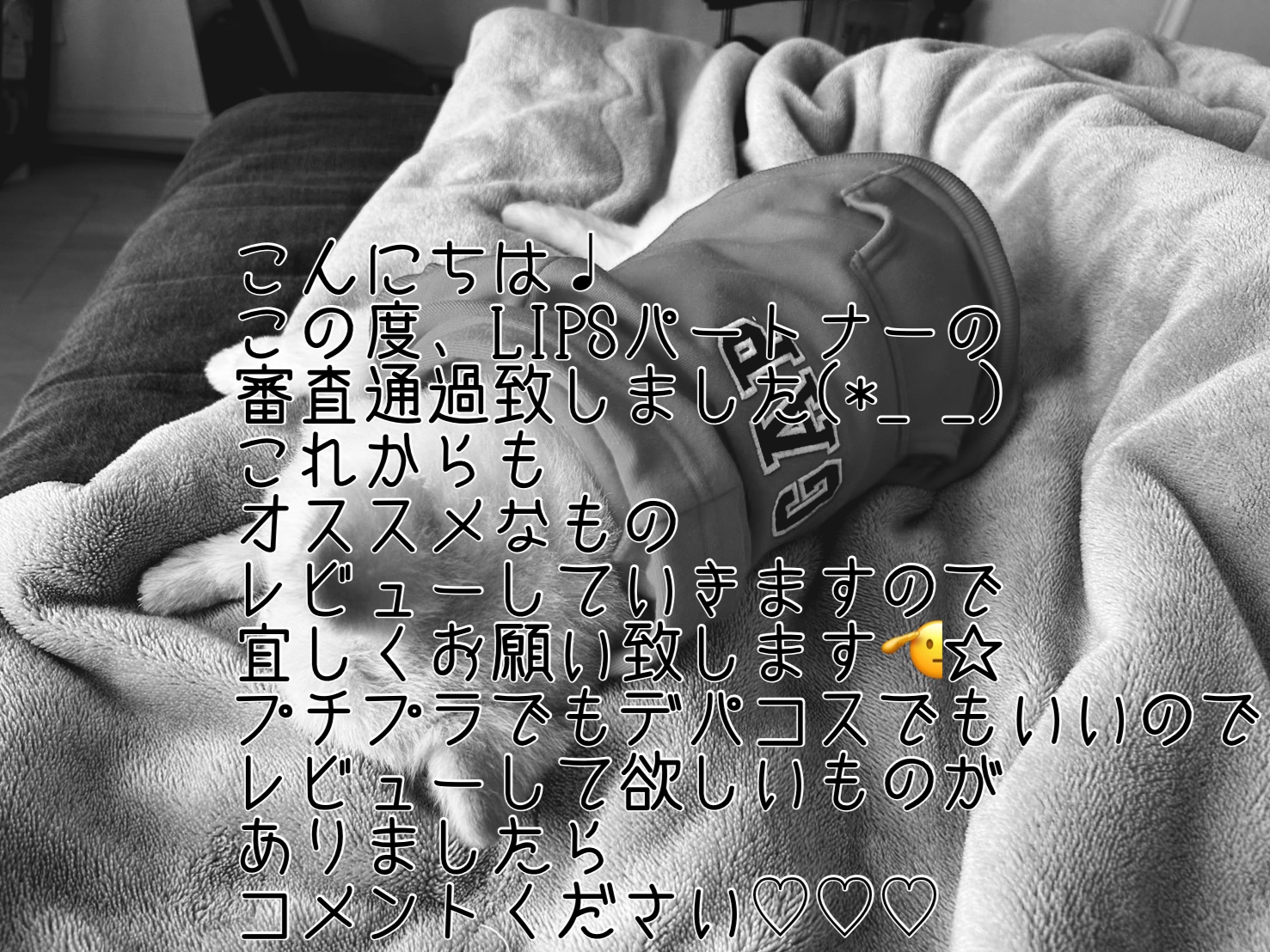 を使ったクチコミ（1枚目）