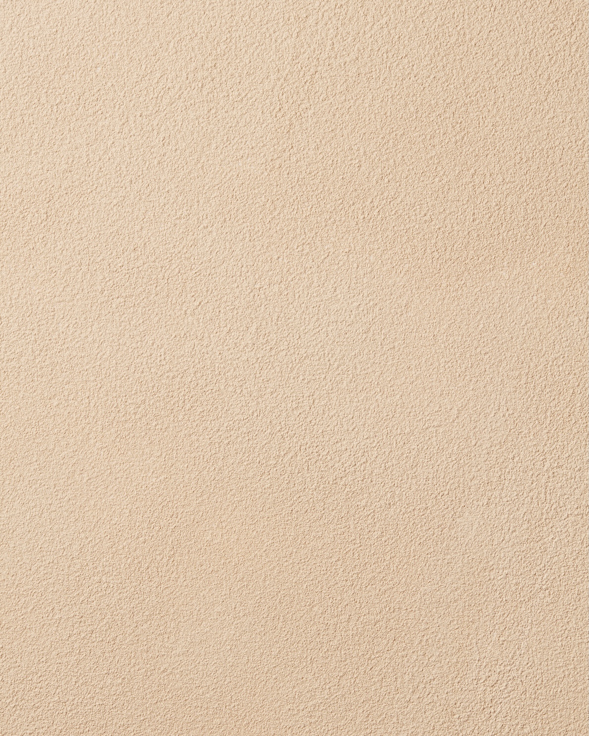 ナチュラルライティングパウダー ナチュラルライティングパウダー 詰め替え用