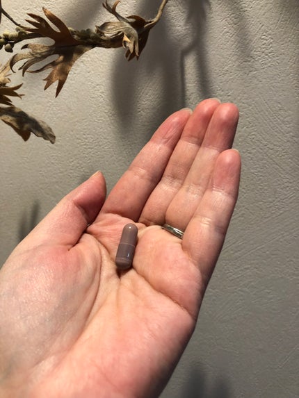 ザンシスリムナイト/SLIMPLANET/ボディサプリメントを使ったクチコミ(4枚目)