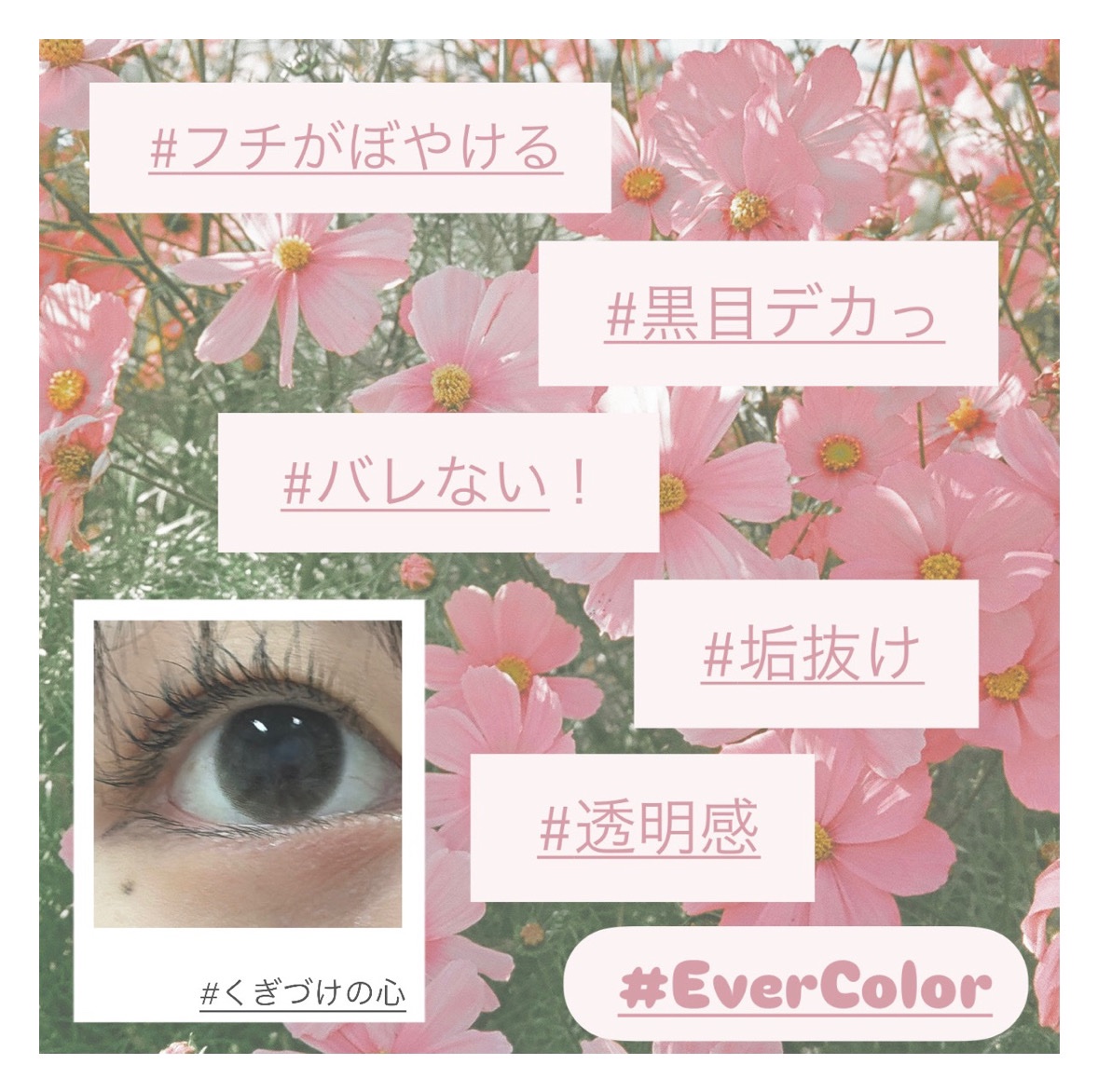 エバーカラーワンデー ナチュラル くぎづけの心/エバーカラー/ワンデー（１DAY）カラコンを使ったクチコミ（2枚目）