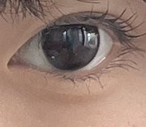 eye closet 1month ガウスショコラ/EYE CLOSET/１ヶ月（１MONTH）カラコンを使ったクチコミ（1枚目）